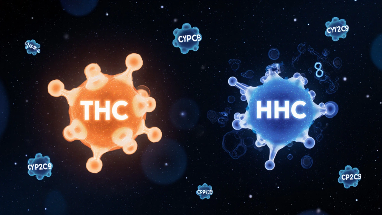 Abstrakte Darstellung der molekularen Unterschiede zwischen THC und HHC, wie sie sich an Rezeptoren binden.