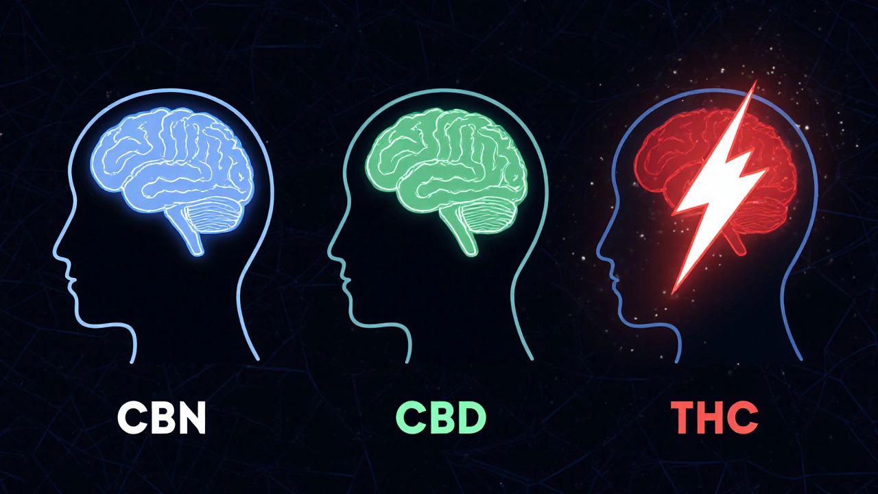Wissenschaftliche Darstellung von CBN, CBD und THC als sanfte Lichtwellen, die das Gehirn unterschiedlich beeinflussen.