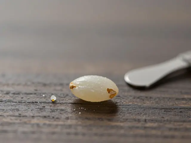 Was ist eine gute CBD-Menge für Anfänger?