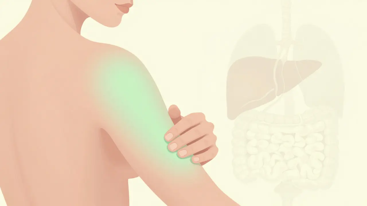 Mensch trägt CBD-Creme auf die Haut auf, ohne Auswirkung auf innere Organe – lokal beruhigend, systemisch unsichtbar.