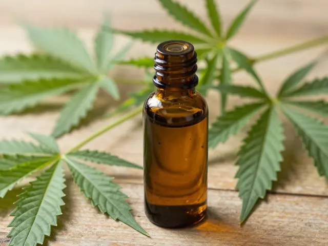 Hilft CBD-Öl beim Orgasmus? Wirkung, Studien und Anwendung