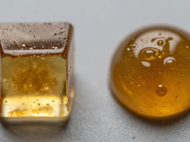 Ist CBD-Shatter wirklich potenter als Harz? Ein direkter Vergleich