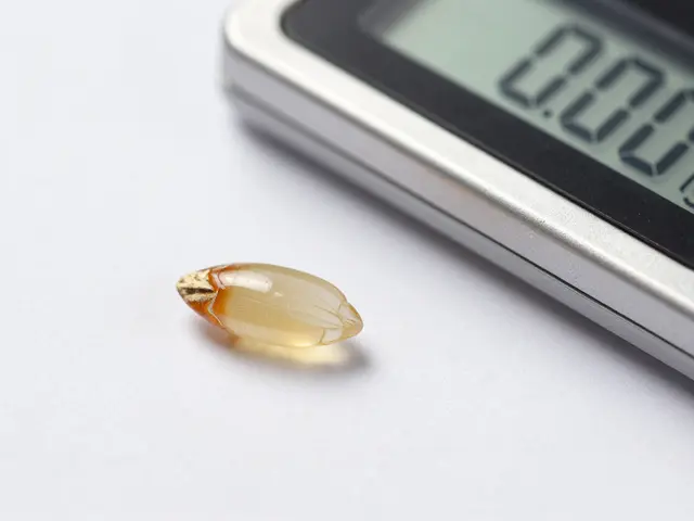 Wie viel Shatter brauchst du wirklich? Eine praktische Anleitung für CBD-Shatter-Anfänger