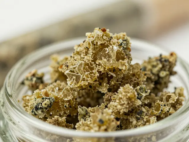 CBD Crumble in Blunts: Funktioniert es, wie rollt man es richtig?